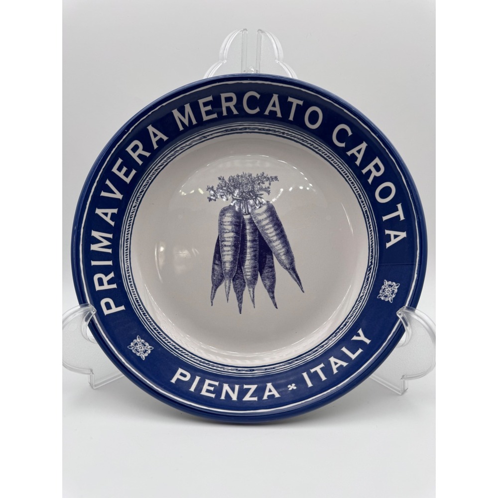 Certified International Tina Higgins Primavera Mercato Carota Pasta Bowl Blue 9"